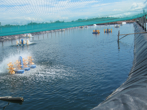 水產防滲膜鋪設現(xiàn)場有哪些細節(jié)須關注？