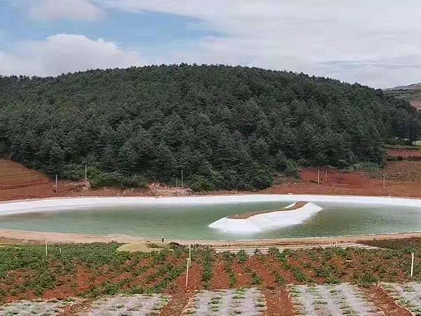 防滲膜可在魚塘魚池養(yǎng)殖中“大顯身手”