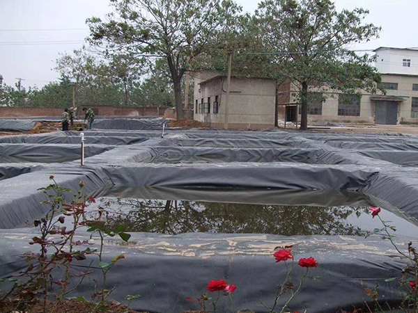 防滲膜廠家會(huì)積極處理土工膜破損現(xiàn)象 防滲膜廠家會(huì)積極處理土工膜破損現(xiàn)象