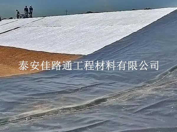 養(yǎng)殖防滲膜在魚(yú)塘建設(shè)中發(fā)揮重要作用 養(yǎng)殖防滲膜在魚(yú)塘建設(shè)中發(fā)揮重要作用