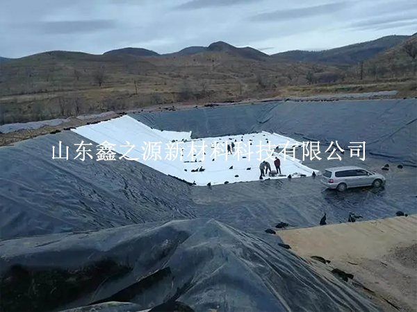養(yǎng)殖防滲膜可提升魚蝦養(yǎng)殖質量廣受關注 養(yǎng)殖防滲膜可提升魚蝦養(yǎng)殖質量廣受關注