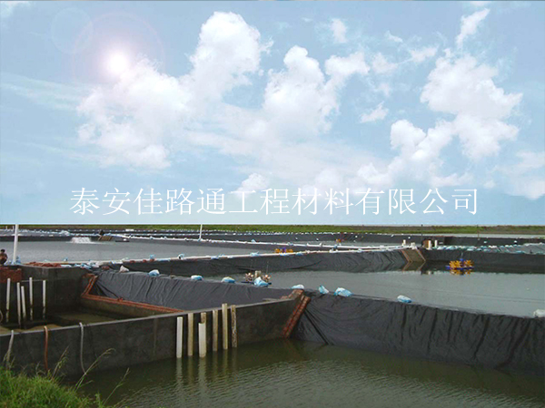魚蝦養(yǎng)殖防滲膜根據(jù)需求進行儲存存放 魚蝦養(yǎng)殖防滲膜根據(jù)需求進行儲存存放