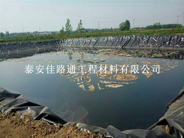 造成水產(chǎn)養(yǎng)殖防滲膜使用效率下降的原因 造成水產(chǎn)養(yǎng)殖防滲膜使用效率下降的原因