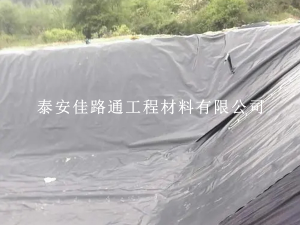 防滲復(fù)合土工膜抗生物侵蝕能力:一種創(chuàng)新視角 防滲復(fù)合土工膜抗生物侵蝕能力:一種創(chuàng)新視角