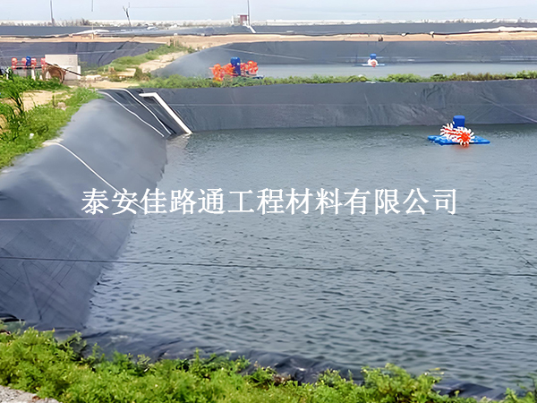魚塘防滲膜:對(duì)魚兒生長的微妙影響 魚塘防滲膜:對(duì)魚兒生長的微妙影響