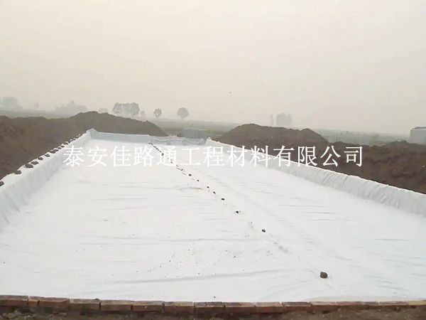復合土工膜:水產養(yǎng)殖的新守護者 復合土工膜:水產養(yǎng)殖的新守護者