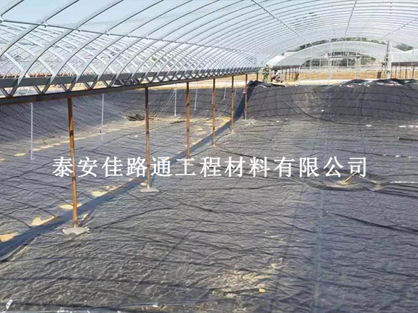告別傳統(tǒng)土池：養(yǎng)殖防滲膜為何成為現(xiàn)代養(yǎng)殖的“剛需”？